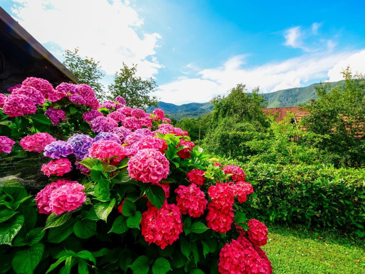 Holiday Home Bozica By Interhome Brod na Kupi Zewnętrze zdjęcie